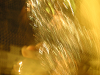 s_A_PICT0535_thumb.png